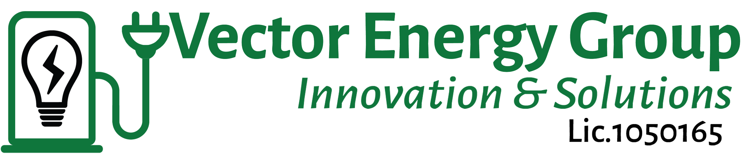 Vector Energy Group LLC